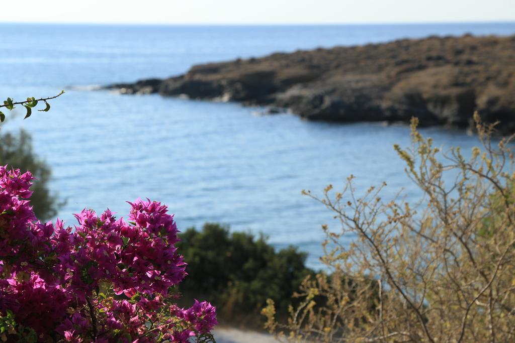 Apartmán Agerino Moutsoúna Exteriér fotografie